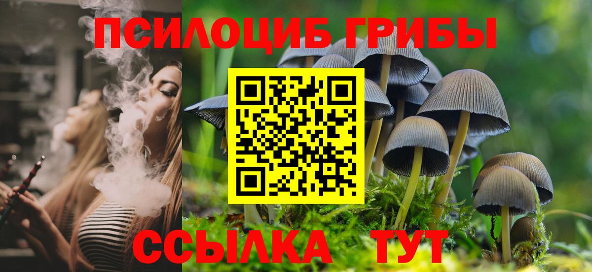 Псилоцибиновые грибы Cubensis  Вход с VPN  Пугачёв 